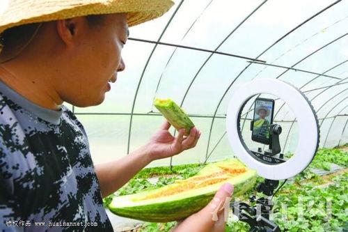 卖衣服吃瓜最新事件爆料,最新事件揭秘，行业乱象引关注