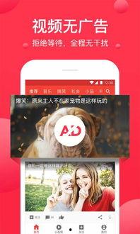 吃瓜君每日爆料西瓜视频搜索,西瓜视频搜索热门事件大盘点