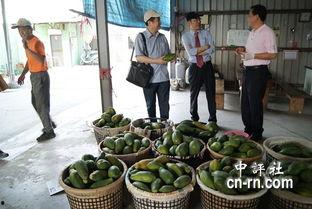 南充吃瓜最新事件爆料新闻,揭秘最新爆料背后的真相与争议