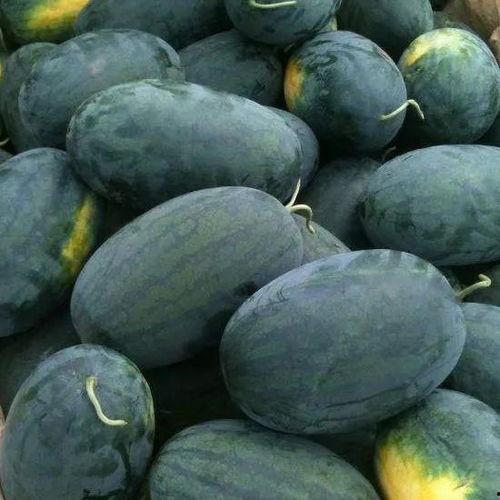 黑宝宝吃瓜,揭秘娱乐圈幕后真相