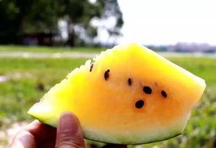 网爆吃瓜爆料图片高清壁纸,高清壁纸中的惊人瞬间