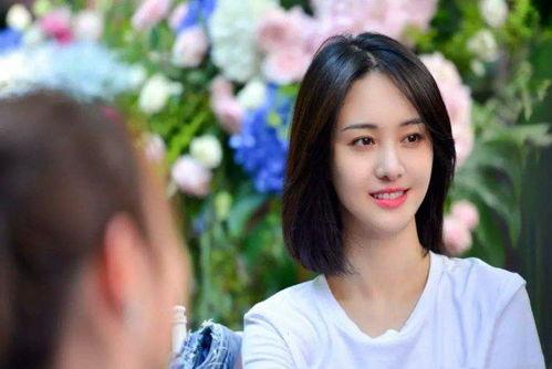 明星网红真实事件,揭秘明星网红真实事件背后的真相