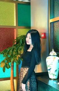 石家庄最近明星网红,石家庄明星网红风采集锦